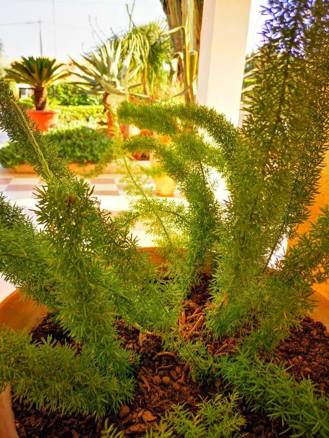 Villa Felice マルツァメミ エクステリア 写真